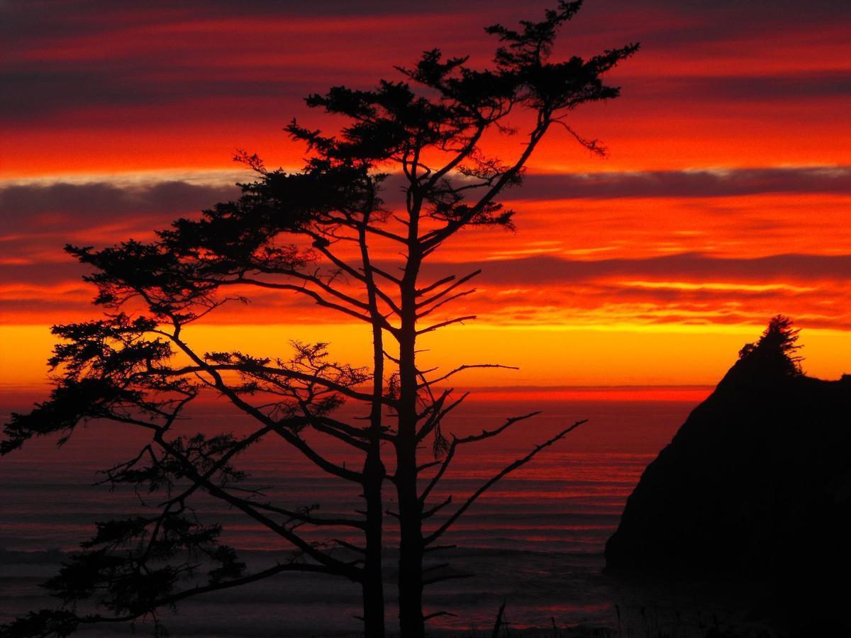 Agate Beach Motel Torre di Torre di Newport Esterno foto